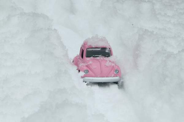 vw bug hiver